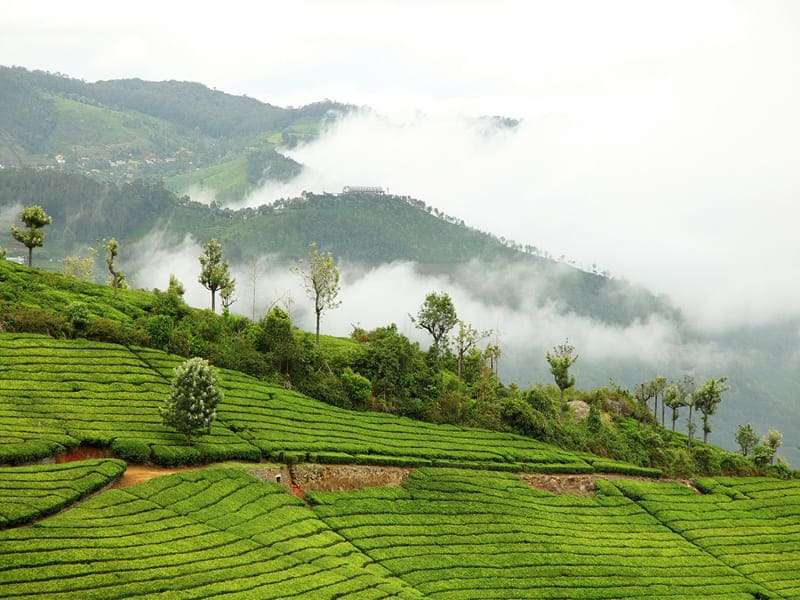 coonoor-tamil-nadu