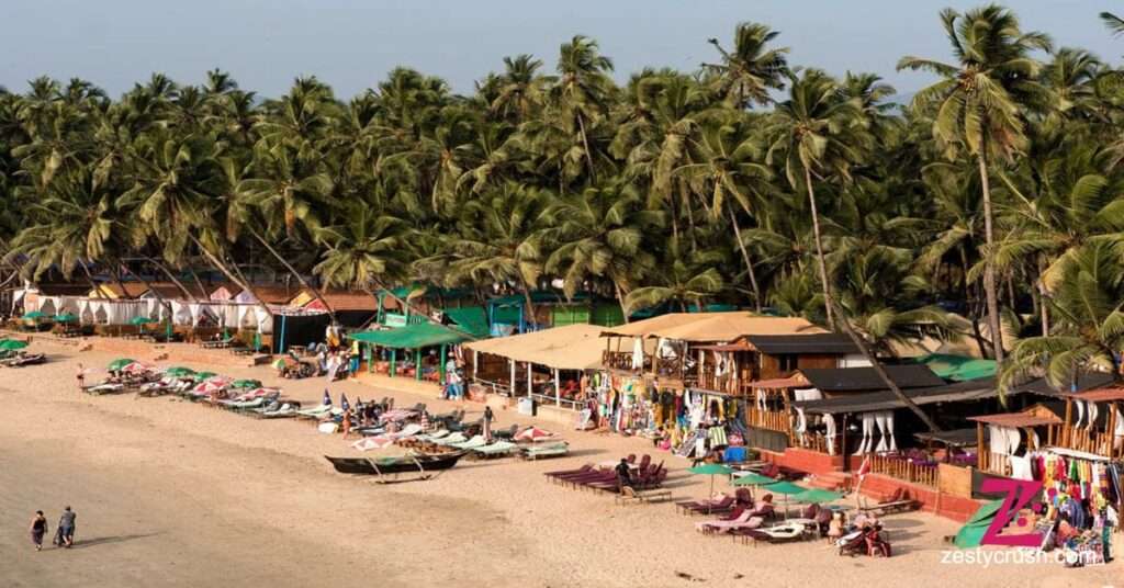 Agonda-Beach-Goa