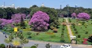 Cubbon-Park-Bangalore