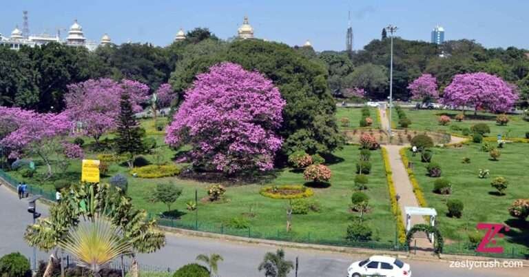 Cubbon-Park-Bangalore