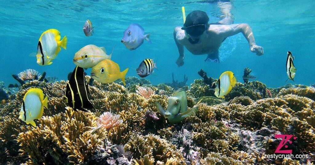 Snorkeling-at-Kudle-Beach-Gokarna