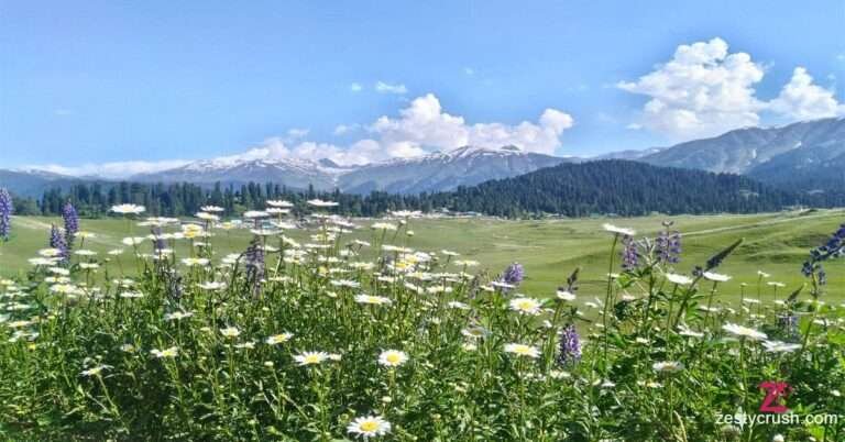 Wildlife-Sanctuaries-in-Jammu-and-Kashmir