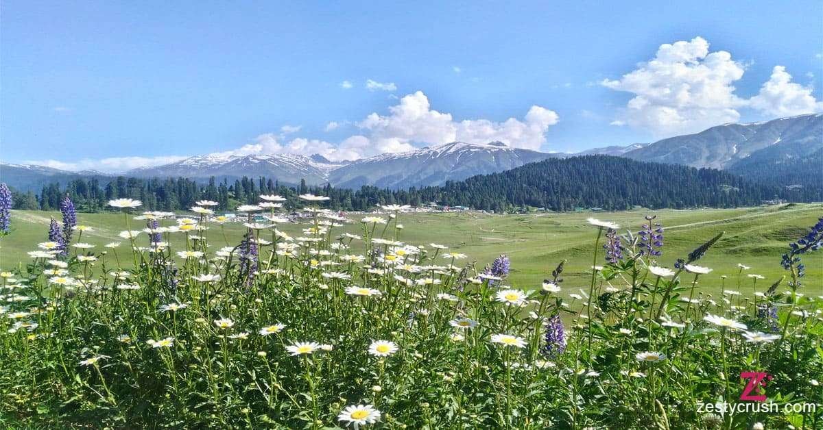 Wildlife-Sanctuaries-in-Jammu-and-Kashmir