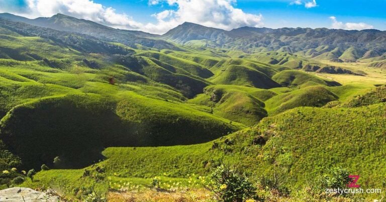 Bio-Heavenly-Dzukou-Valley
