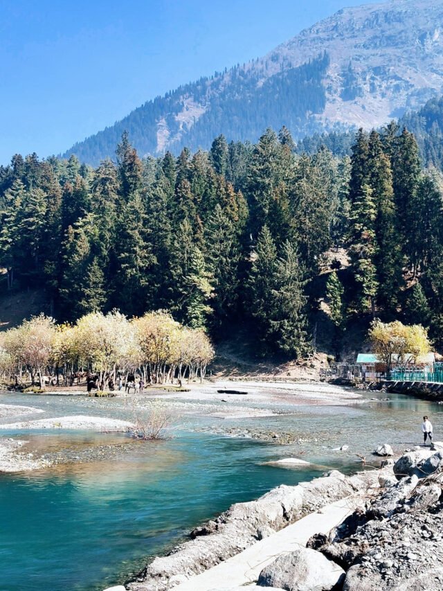 13 Reasons Betaab Valley is Kashmir’s Must-Visit Paradise!