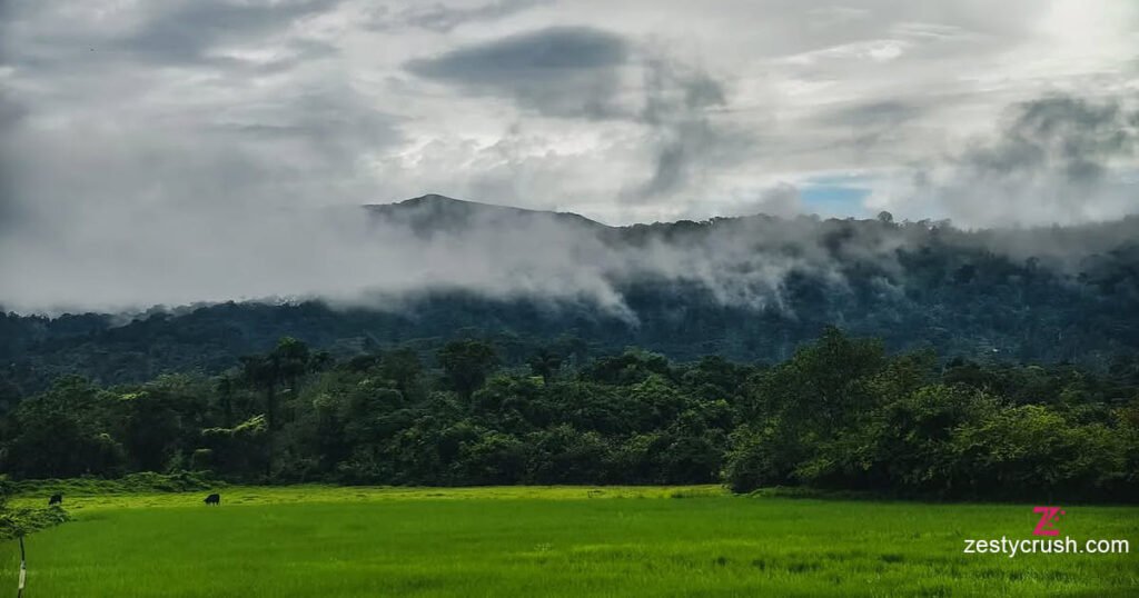 Coorg