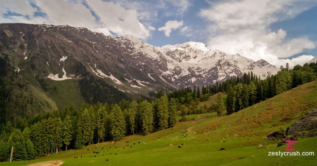 Himalayn-National-Park