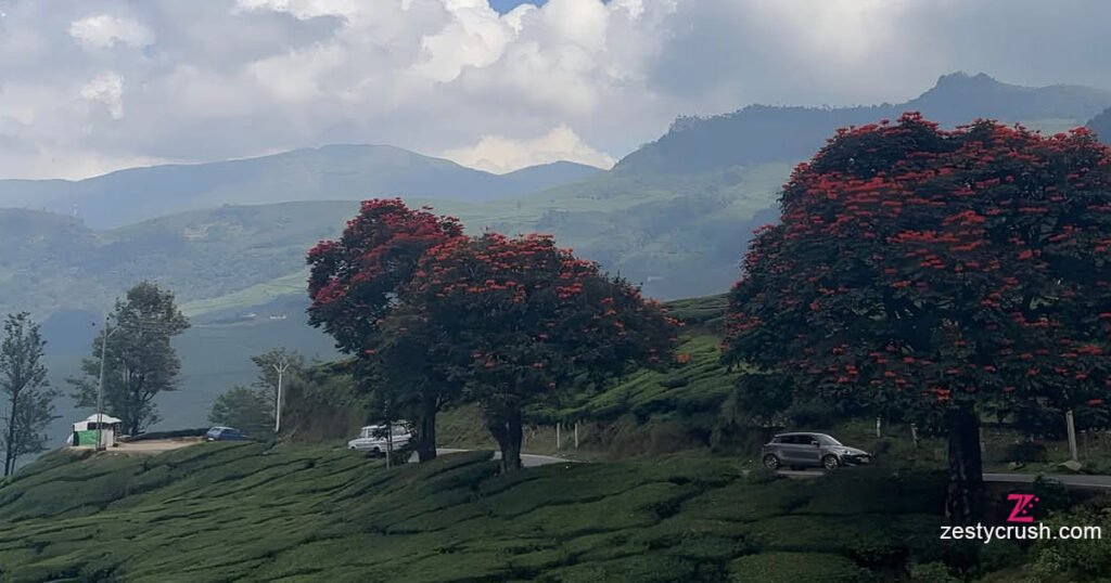 Munnar