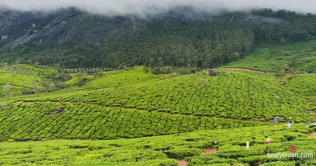 Munnar