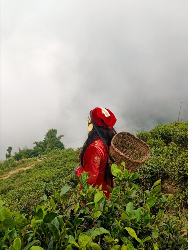 Darjeeling tourist places