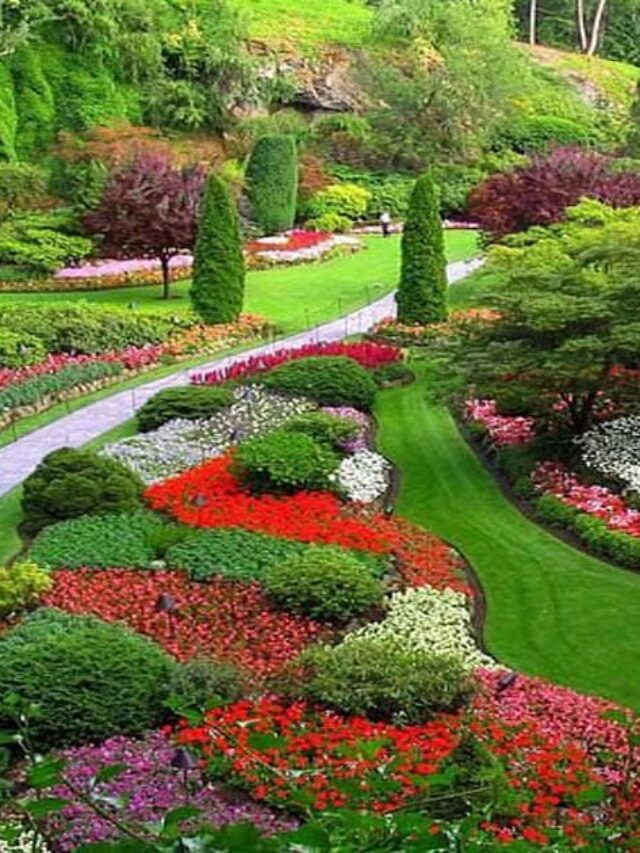 ooty botanical-garden