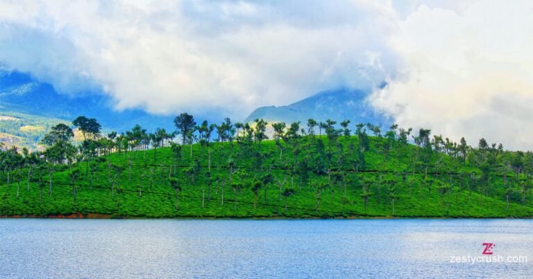 Anayarangal Dam Munnar