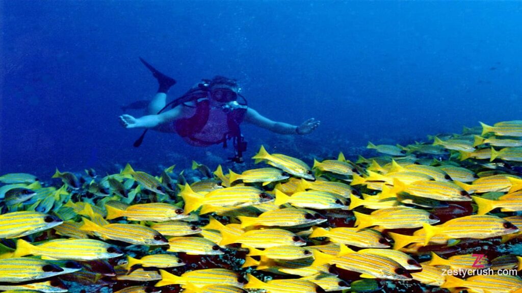 Banana Reef Maldives