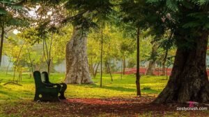 Botanical Garden Pondicherry