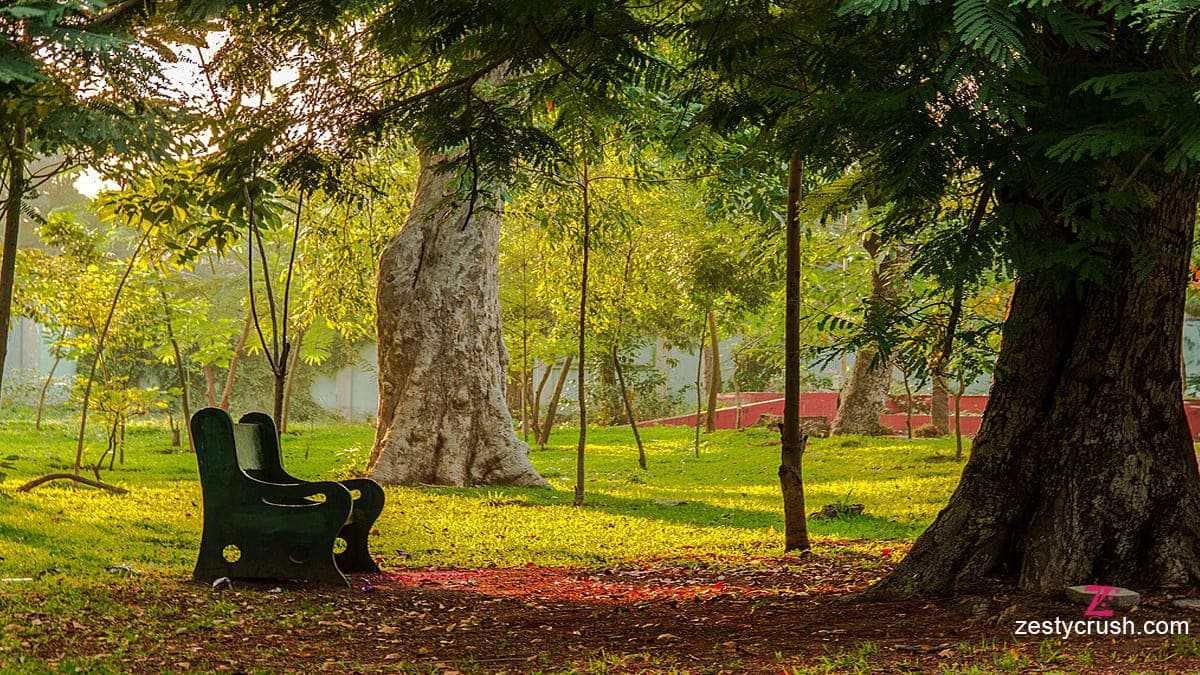Botanical Garden Pondicherry