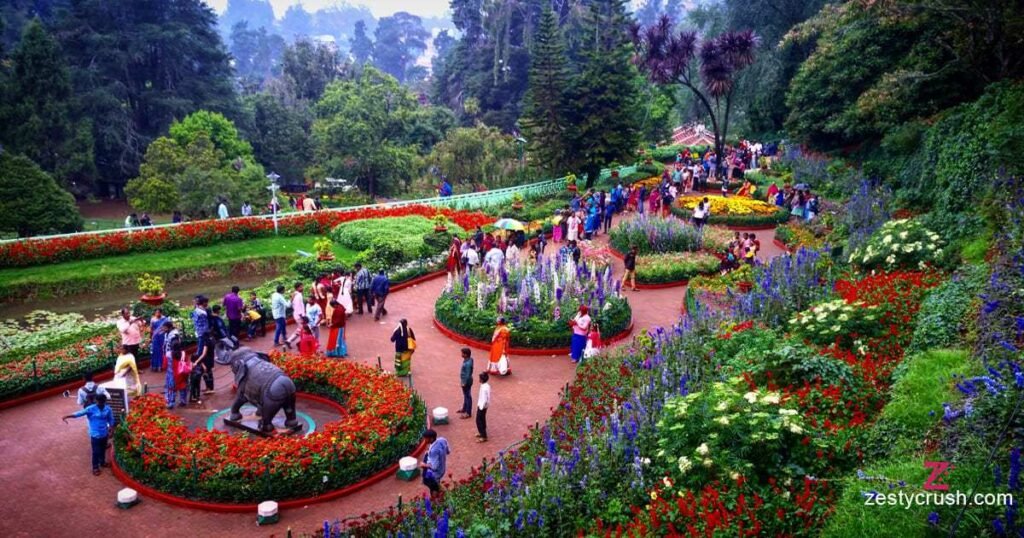 Botanical Garden ooty