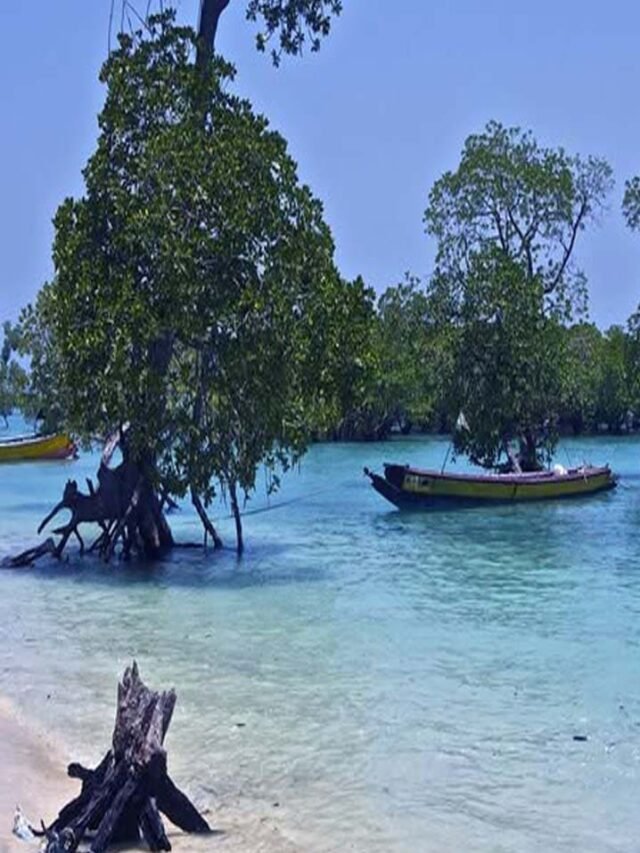 Andaman-Magic