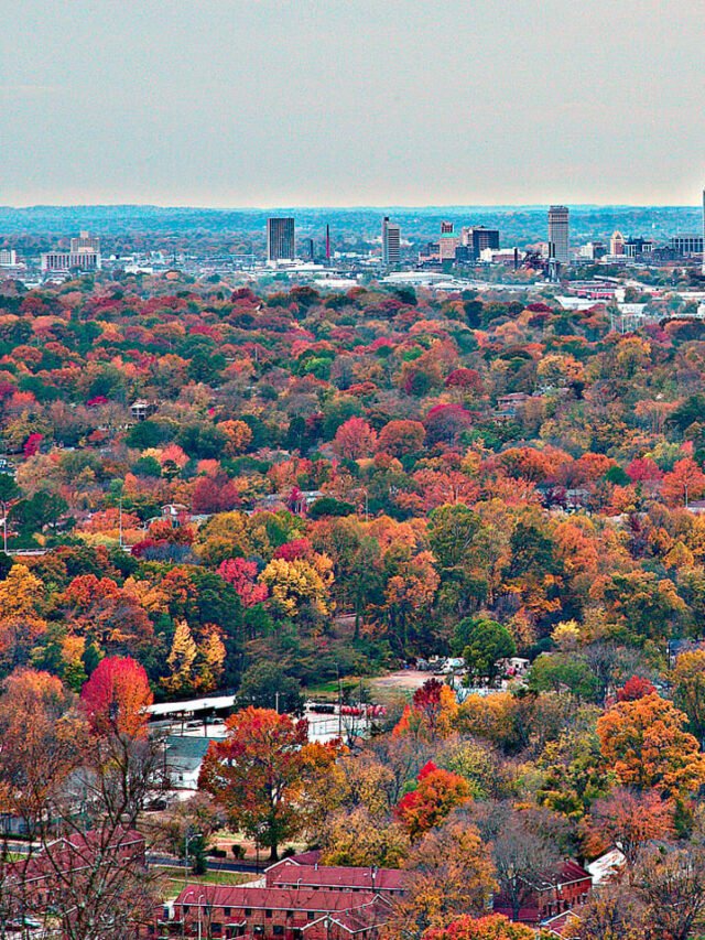 Downtown-Birmingham-Alabama-from-Ruffner-Mountain