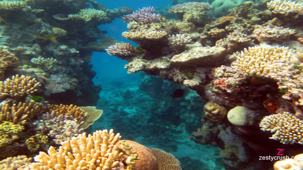 Great Barrier Reef