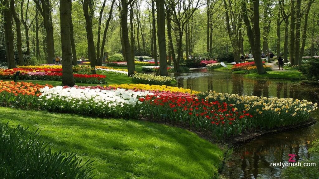 Keukenhof Gardens