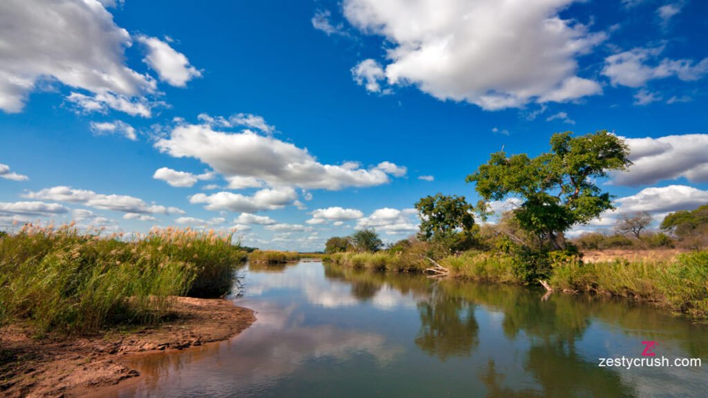Kruger National Park Landscape