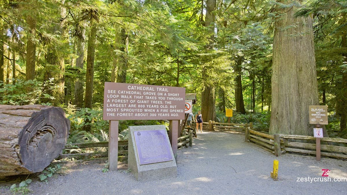 MacMillan Provincial Park