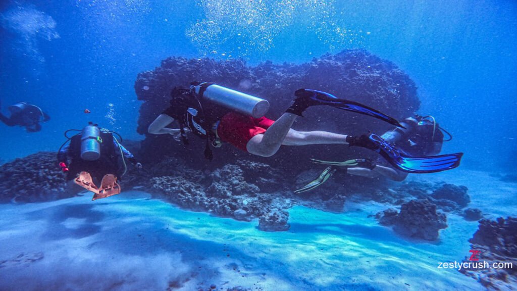 Men doing scuba diving