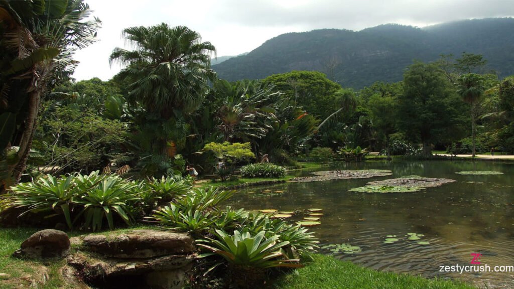 Rio de Janeiro Botanical Garden