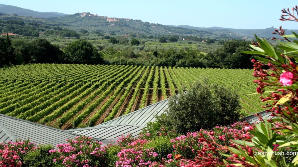 wine tasting tour florence