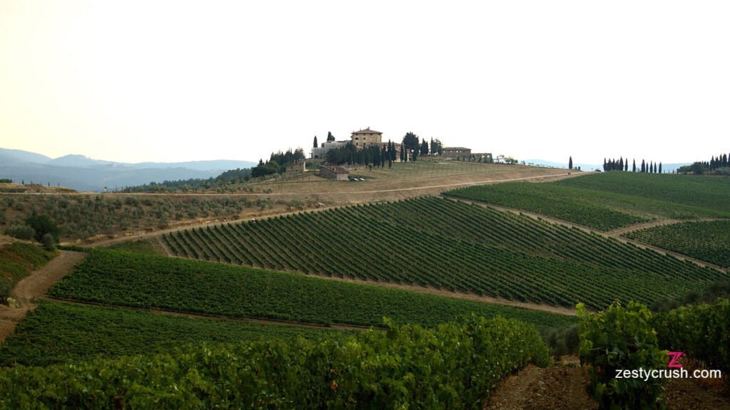 Vineyards in Chianti