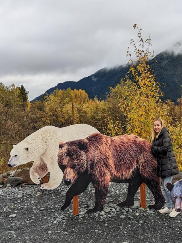 Alaska-Wildlife-Conservation-Center-view