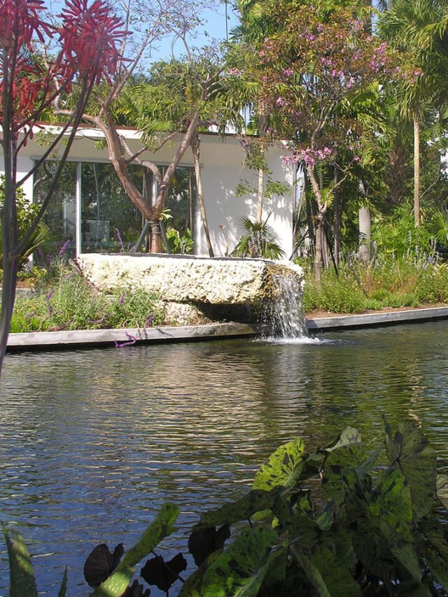 Miami Beach Botanical Garden View