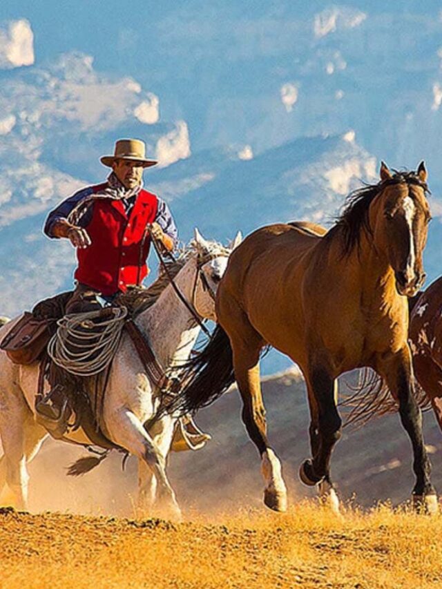 Ultimate Dude Ranch Retreats for 2025 Travel