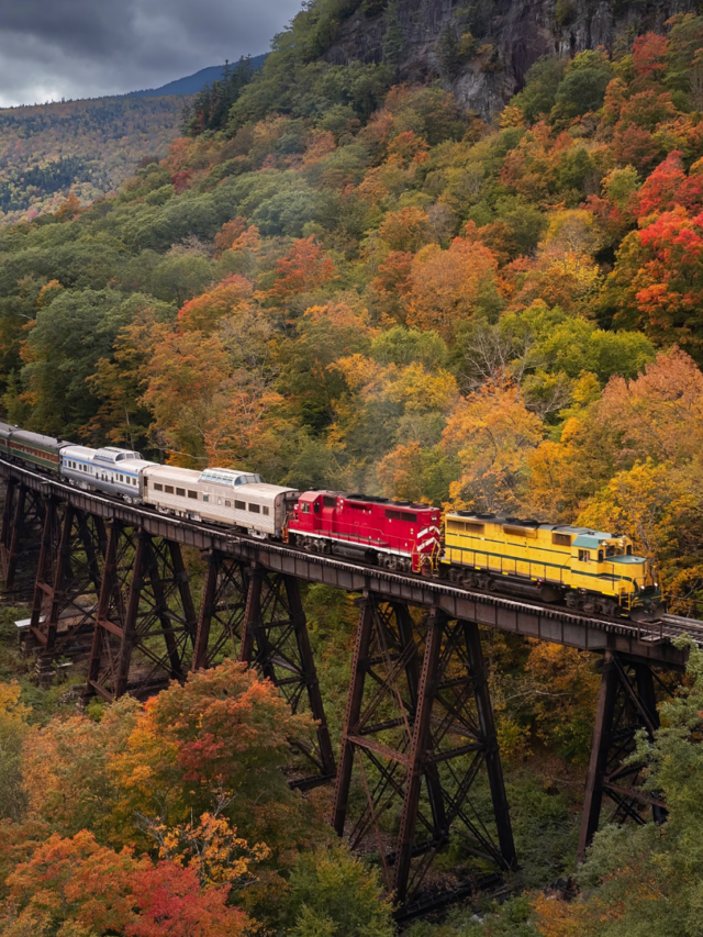 Things To Do in Blue Ridge GA