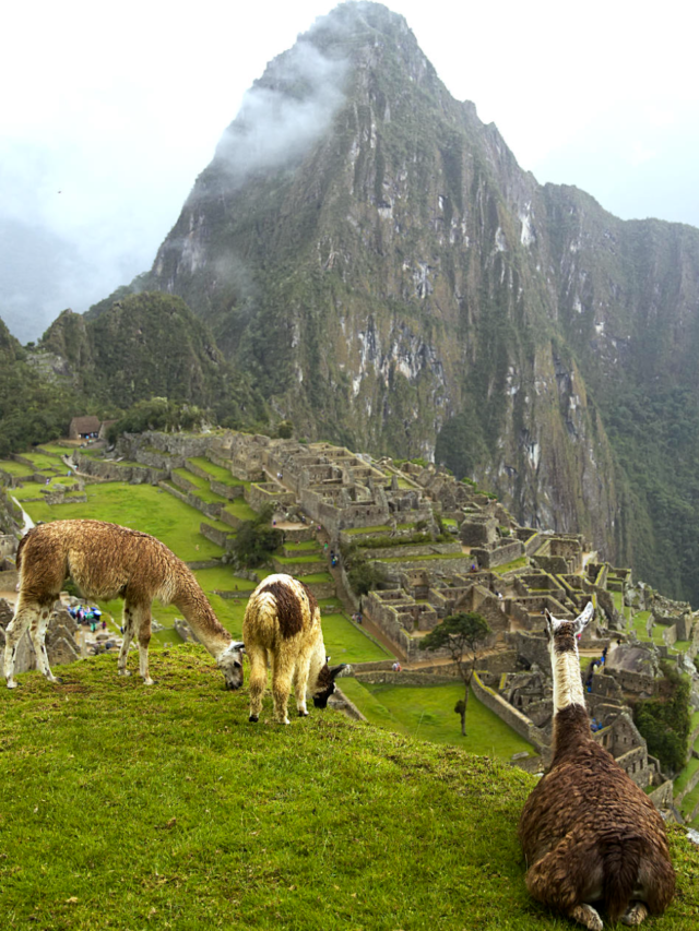 Facts About Machu Picchu