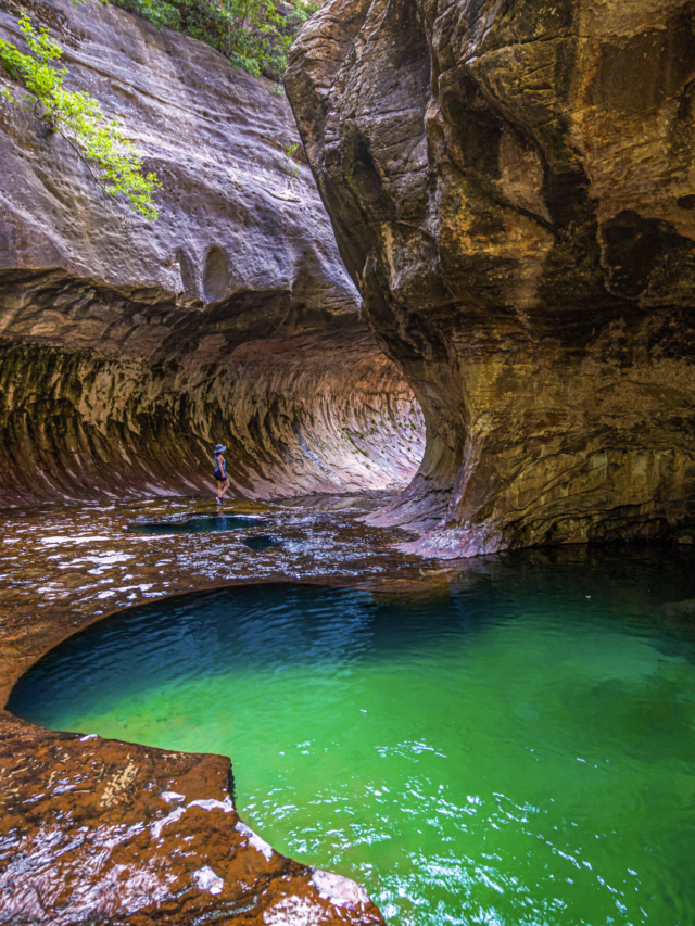 Things to do in Zion National Park