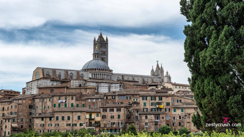 siena