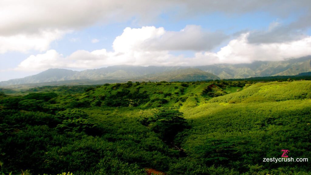Lihue Koloa Forest Reserve