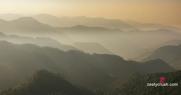 View from Vana Dehradun