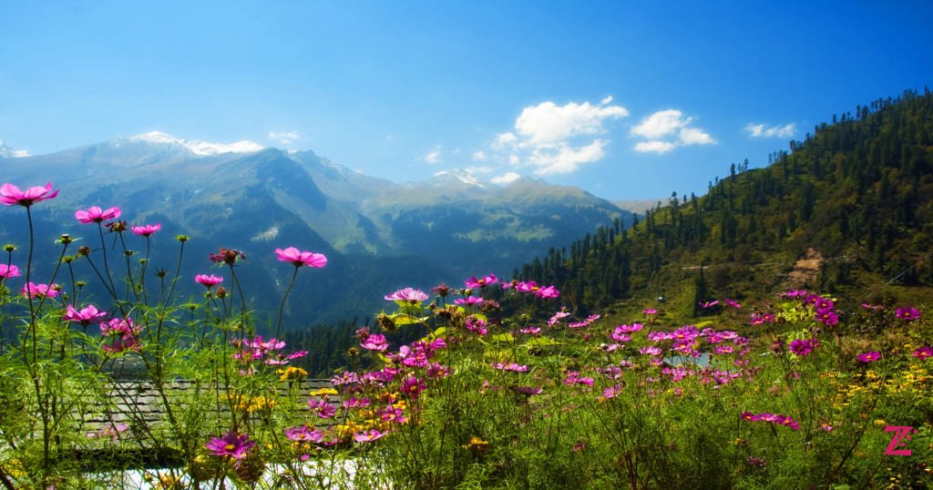 Biosphere Reserve Gulmarg