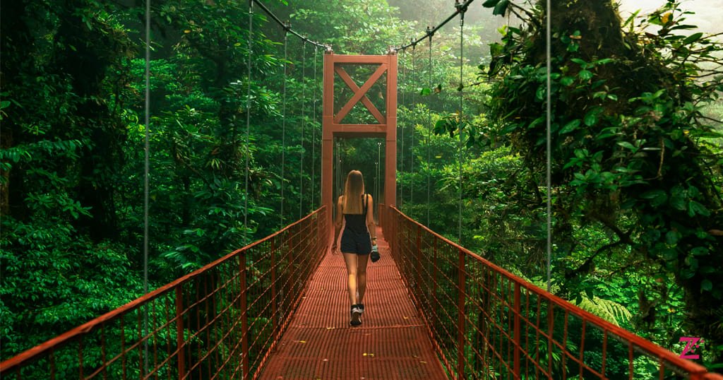 Hanging bridge costa rica