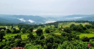 Mainpat feature image