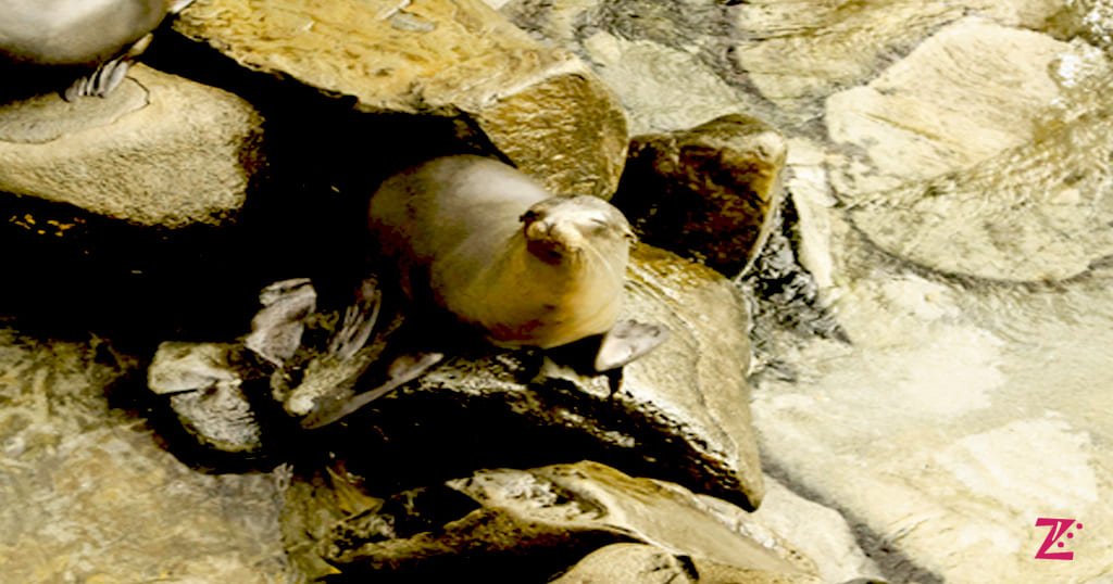 San Diego California