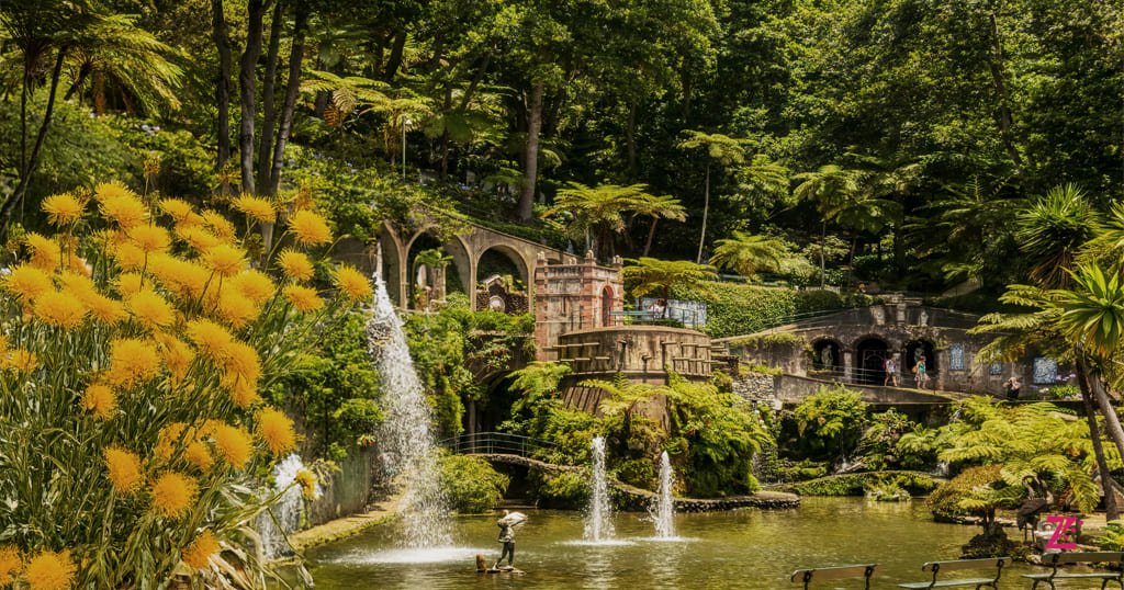 Tropical garden funchal potugal
