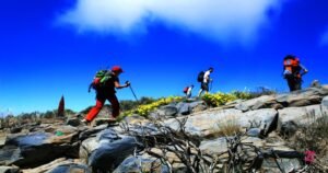 canary island Teide National Park hike