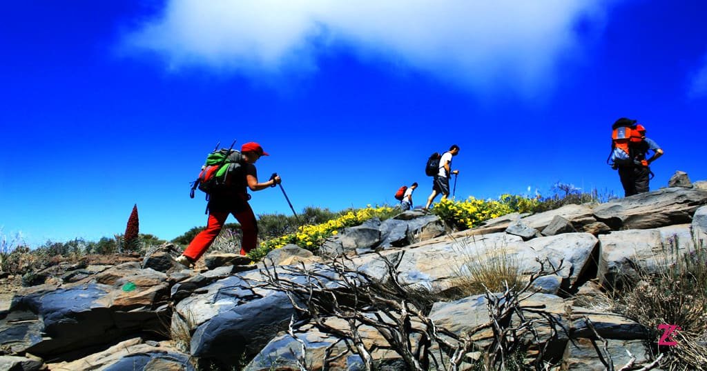 canary island Teide National Park hike