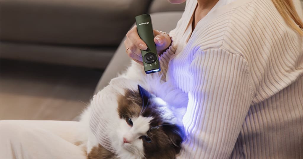 1300 lumen EDC light