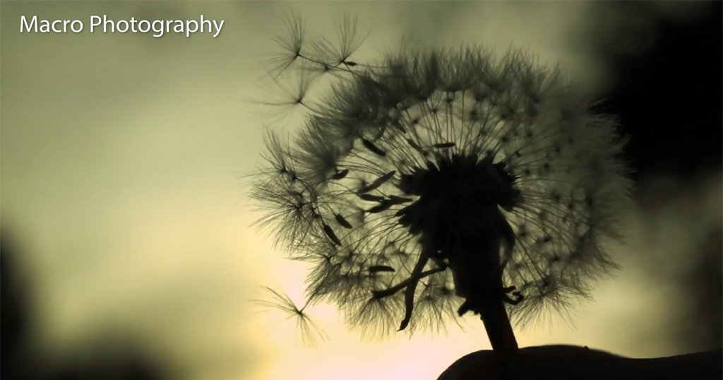 Android photography lens