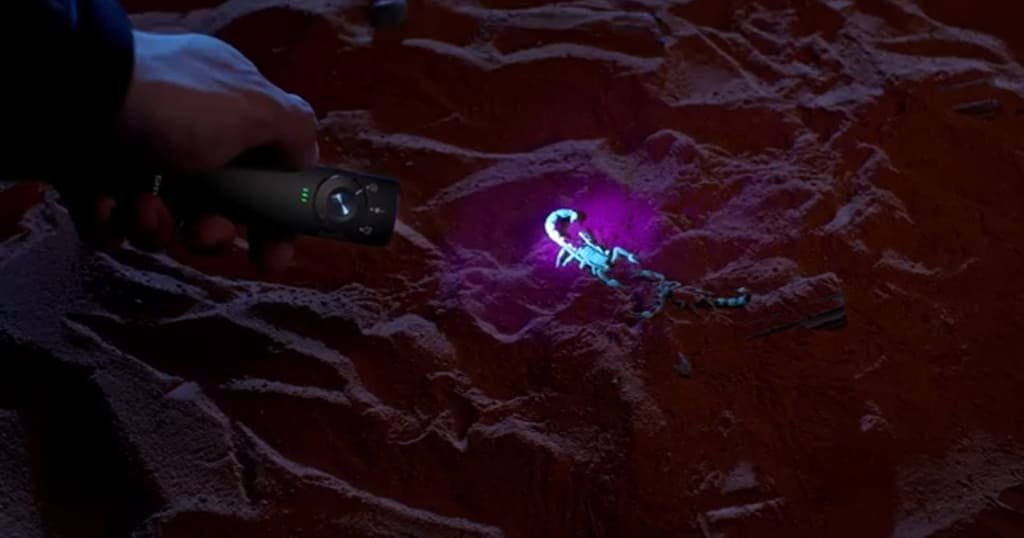 Camping flashlight with UV