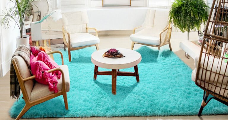 Cozy accent rug